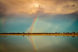 Imminent Transcendence