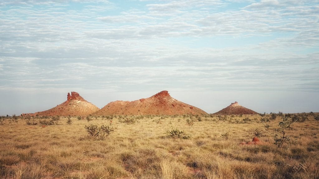 Turtle Head Rock